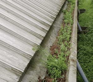 Happy customers in Fleet who trust The Roof Moss Cleaners for gutter cleaning services