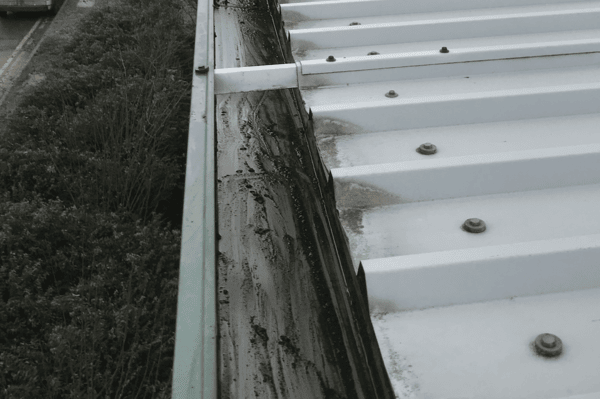 Commercial gutter cleaning specialists in Fleet